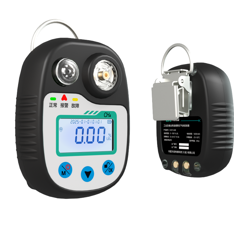 B800便携式气体探测器 B811-A型