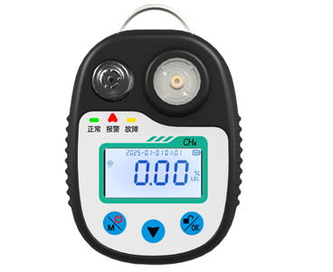 B800便携式气体探测器 B811-A型